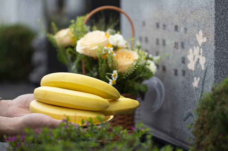 龙居山陵园・清明文明祭祀温馨提示